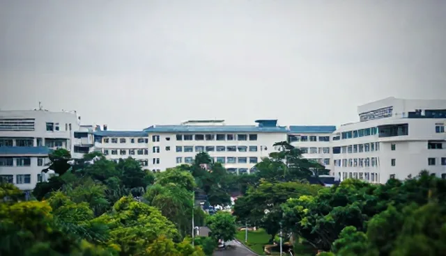 软件:信息系统集成的使用与维护建议